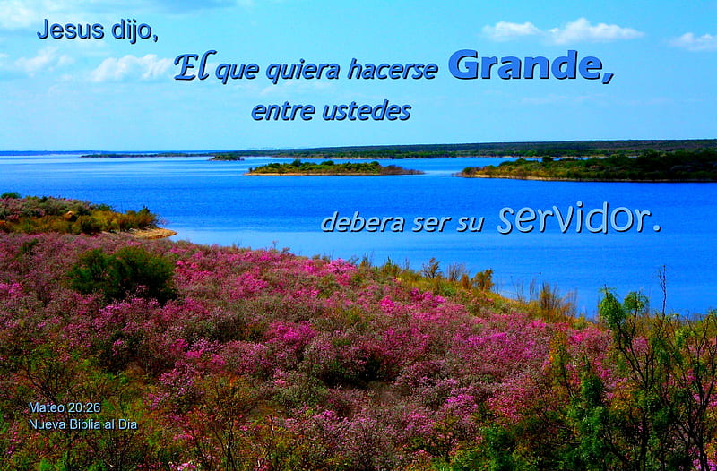 El Servidor es el mas Grande, flowers, Bible, water, lake, HD wallpaper
