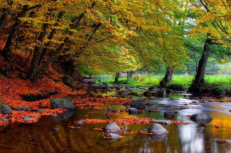 Early Autumn Stream, reflections, leaf, stillness, orange, brown, yellow, water, leaves, green, peaceful, natural, hidden, HD wallpaper
