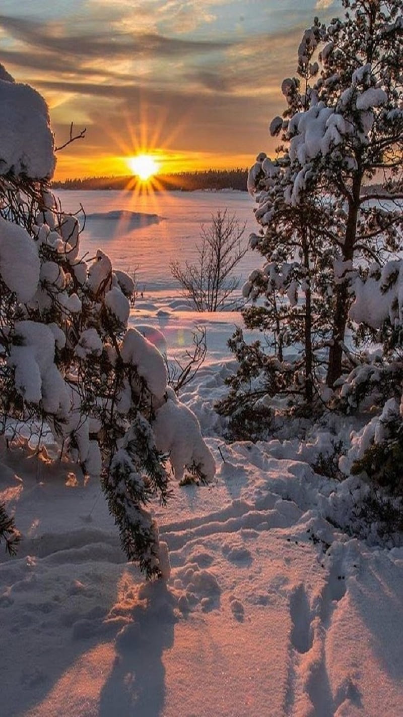 Winter, snow, sun, HD phone wallpaper