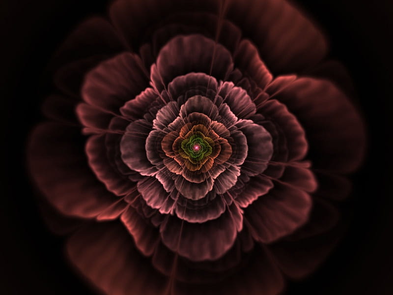 Dark Rose, Wonderful, Amazing, dark, Sensational, HD wallpaper