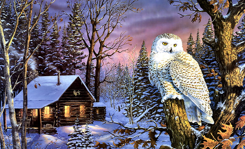 Night Watch - Owl F1C, art, bonito, illustration, owls, artwork, animal, bird, avian, painting, wide screen, wildlife, nature, HD wallpaper