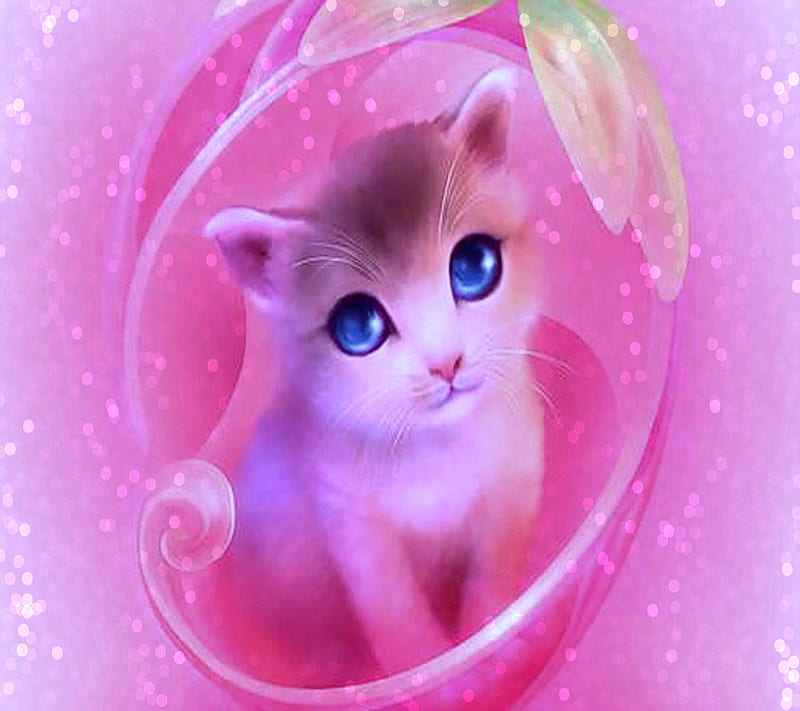 Pink Kitty, kitty, pink, HD wallpaper | Peakpx