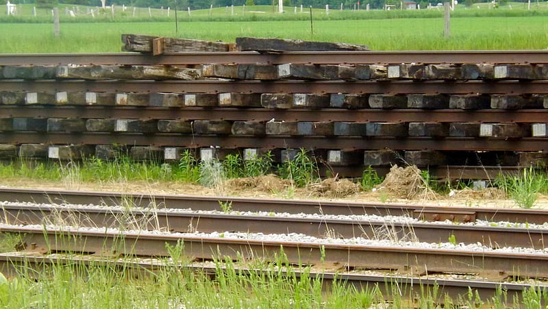 salvaged tracks, railway, green, grass, tracks, HD wallpaper