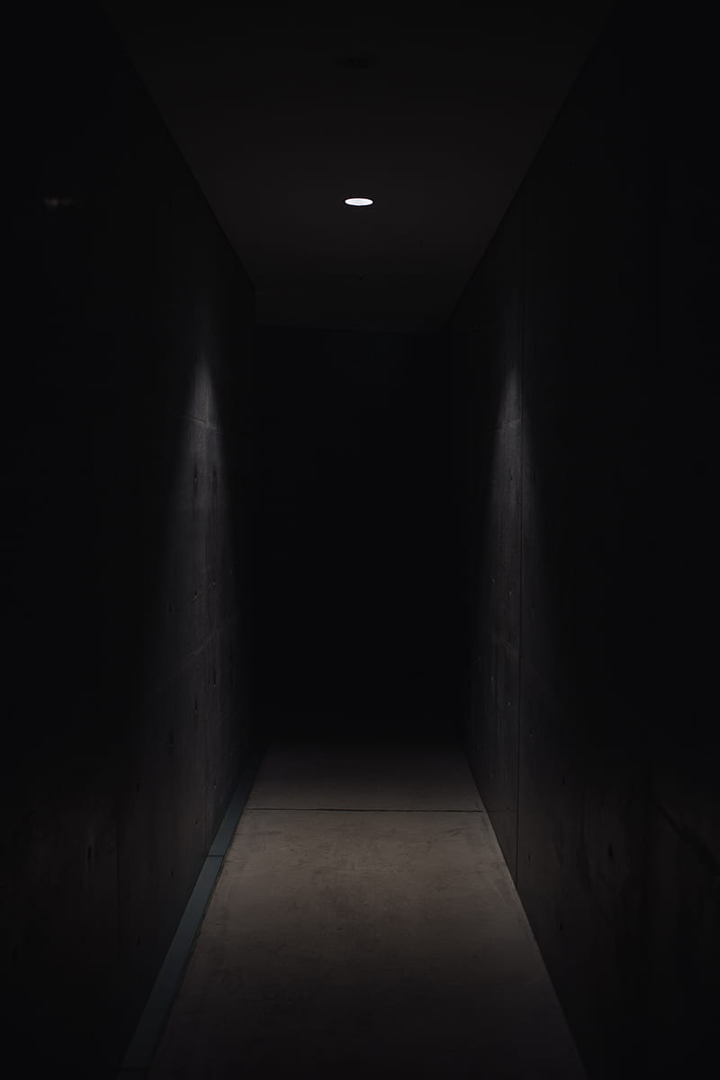 dark pathway lit with small light fixture, HD phone wallpaper