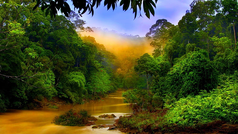 RAIN FOREST RIVER VALLEY, sabah, malaysia, asia, mist, atmospheric, landscapes, borneo, forests, rain forest, tropical, rivers, habitat, HD wallpaper