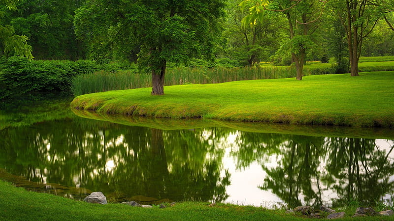 Summer Garden, Pond, Trees, Grass, Relaxing, Park, HD wallpaper