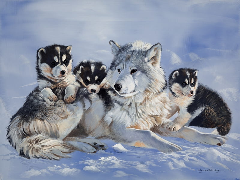 Wolves, family, art, caine, black, animal, winter, cute, painting, polyanna pickering, cub, white, pictura, blue, husky, dog, puppy, wolf, HD wallpaper