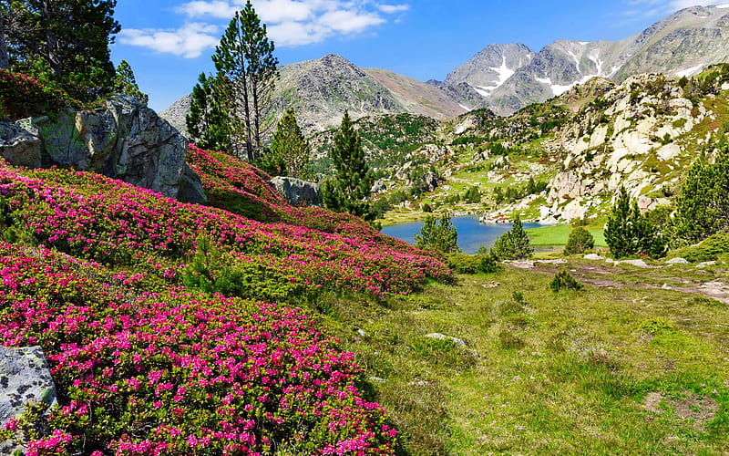 Beautiful Pyrenees, hills, rocks, view, grass, France, bonito, spring, sky, Spain, lvoely, lake, mountain, Pyrenees, wildflowers, summer, landscape, HD wallpaper