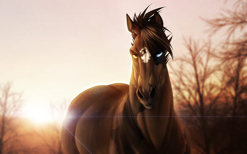 Horse Glowing Eyes, horse, animals, artist, artwork, digital-art, HD wallpaper