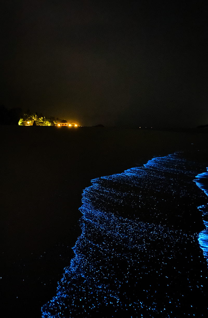Glowing Beach, bioluminescence, bioluminescent, luxury resort landscape  amazing surreal, HD phone wallpaper | Peakpx
