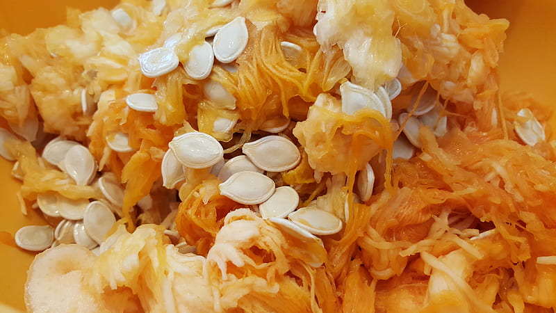 closeup of pumpkin seeds, HD wallpaper