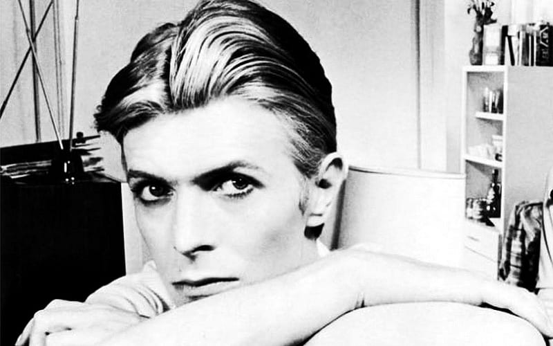 David Bowie 1, Heroes, Stardust, Ziggy, Aladdin, David Bowie, Icon, Bowie, HD wallpaper