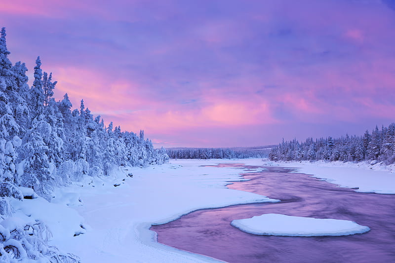 Winter , winter, nature, snow, pink, HD wallpaper