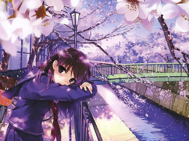 Download two anime characters hugging under a cherry blossom tree