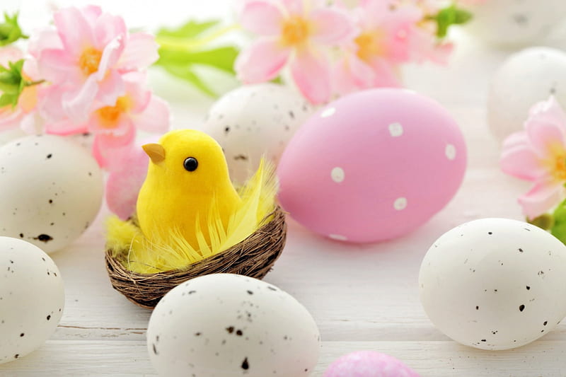 Happy Easter!, deco, yellow, easter, chick, card, egg, dot, nest, flower, white, pink, HD wallpaper