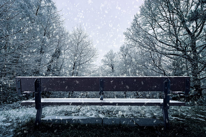 Bench Snowfall , snowfall, nature, HD wallpaper