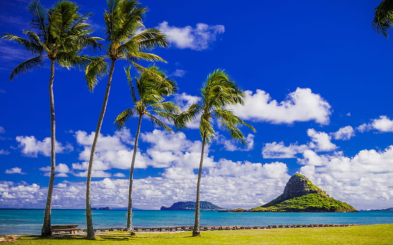 Hawaiian Beach, beach, ocean, hawaii, nature, clouds, coast, HD wallpaper |  Peakpx