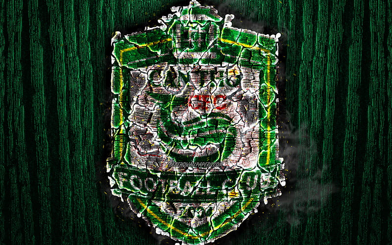 Can Tho FC, scorched logo, V League 1, green wooden background, Vietnamese football club, XSKT Can Tho, grunge, football, soccer, Can Tho logo, fire texture, Vietnam, HD wallpaper