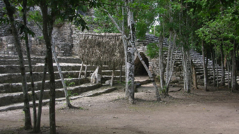 Mayan Ruins @ Coba, cancun, mexico, mayan, ruins, coba, HD wallpaper