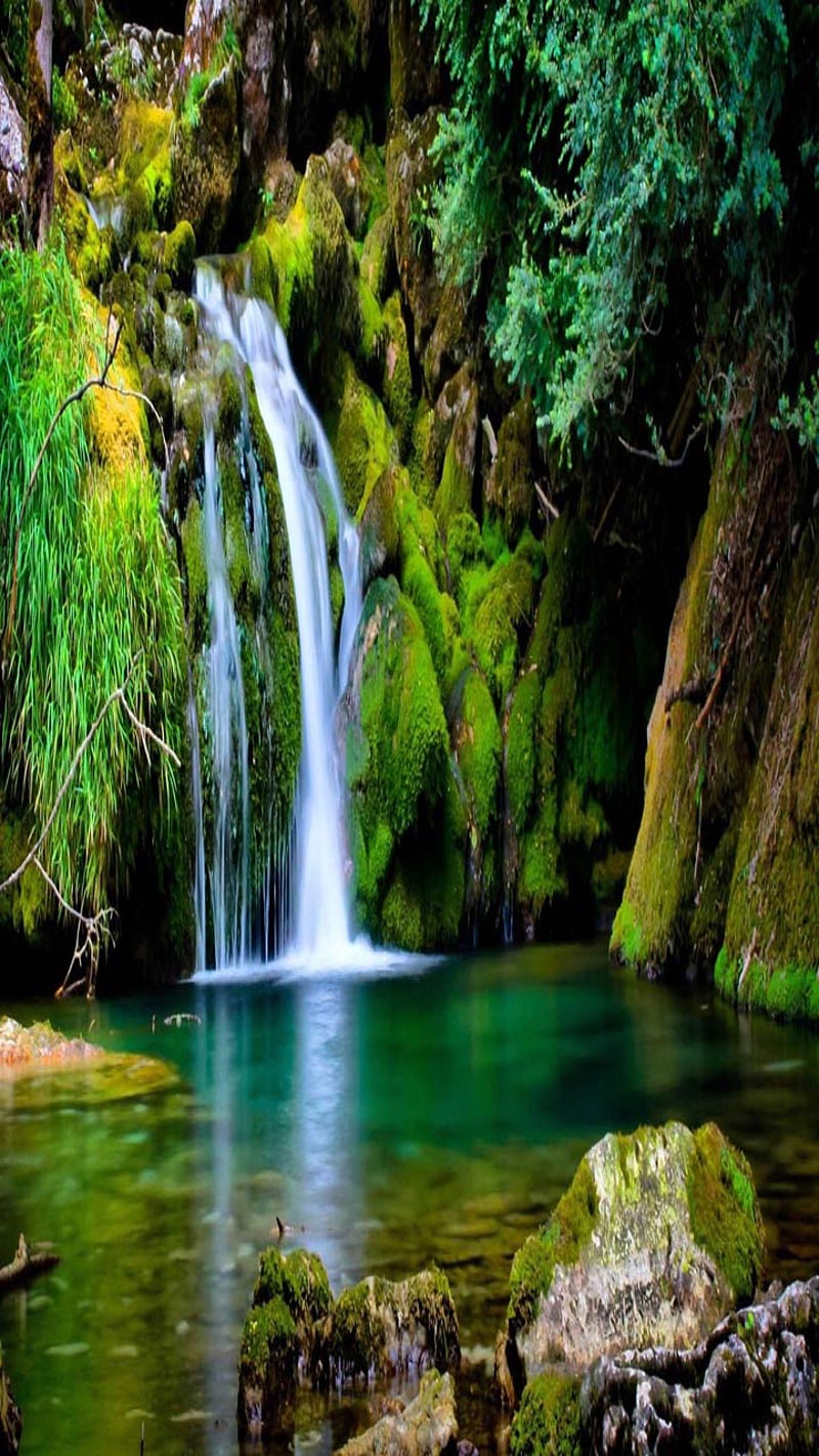 Waterfall Forest, look, nice, HD phone wallpaper | Peakpx