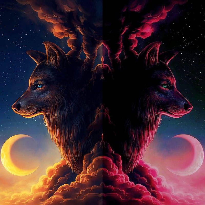 Wolf wall 5, wolf, cloud, moon, HD phone wallpaper | Peakpx