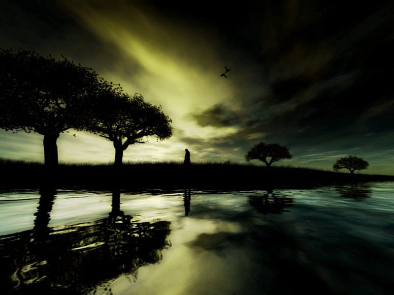 THE LAST WALK, female, green color, silhouette, trees, lake, night, HD wallpaper