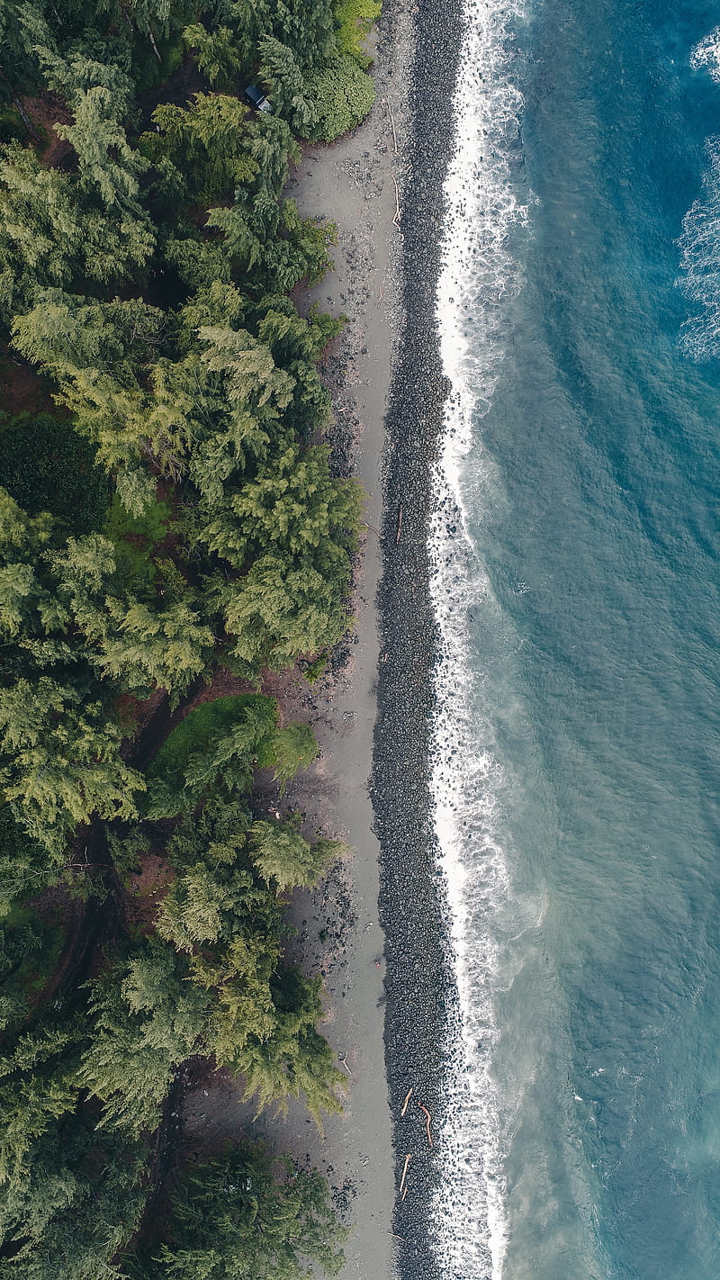 beach, coast, aerial view, water, trees, HD phone wallpaper