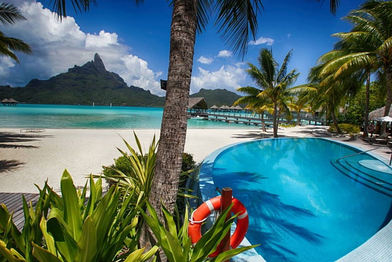 Swimming Pool at Resort Bora Bora, Tahiti, palm, Polynesia, sea, beach, lagoon, sand, Bora Bora, swimming, luxury, blue, exotic, islands, ocean, pacific, trees, south, pool, paradise, plants, island, white, tropical, HD wallpaper