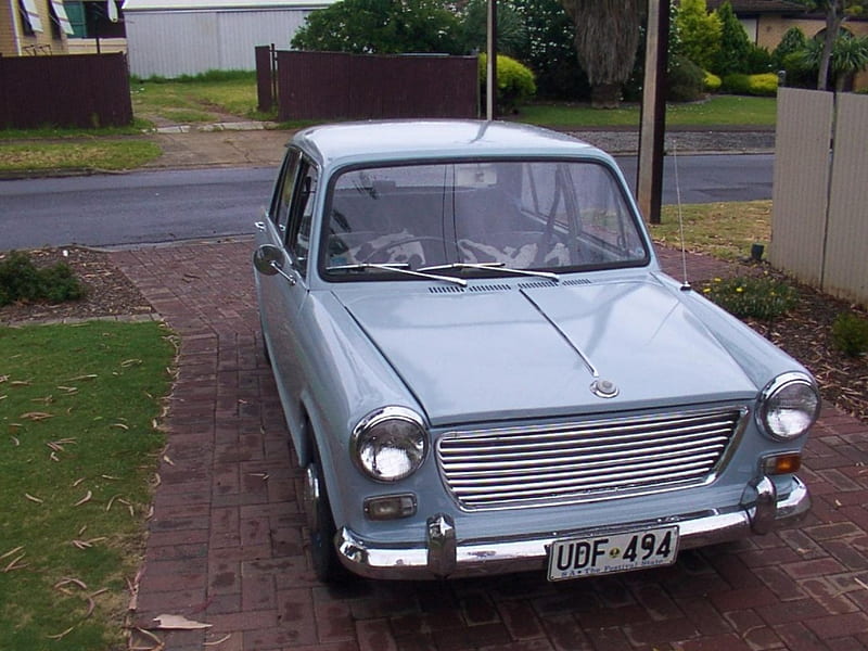 1966 Morris 1100, Morris, Australian, Car of the year, 1966, HD wallpaper