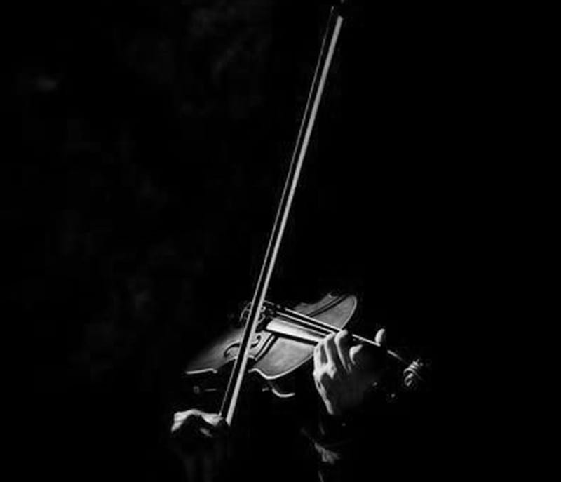 Prelude, violin, cool, graphy, people, music, black, white, HD wallpaper