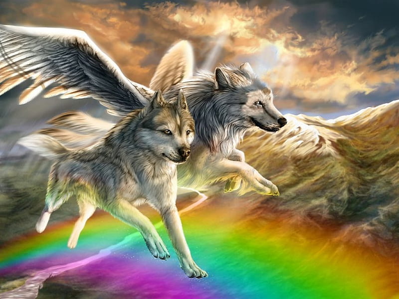 Rainbow dogs, wings, lovely, colors, beautiful colors, bonito, rainbow, fantasy, splendor, heaven, peaceful, wolf, animals, dogs, HD wallpaper