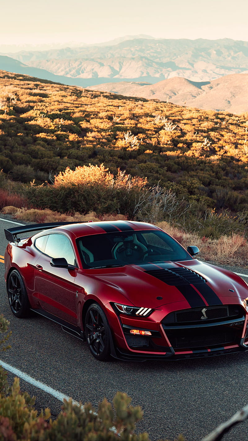 2020 Shelby GT500, mustang, car, supercar, muscle, america, new, HD phone  wallpaper | Peakpx