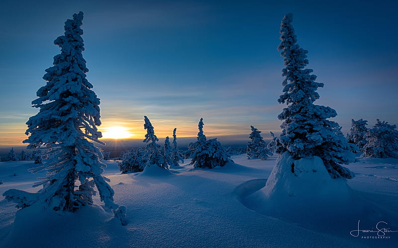 Riisitunturi Winter Finland 2020 Nature Scenery, HD wallpaper