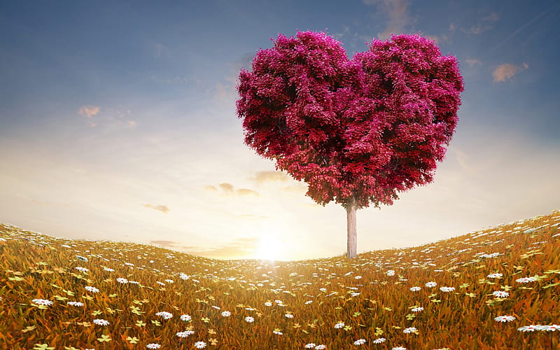 Tree of Love, Love, tree, heart, simple, Nature, HD wallpaper