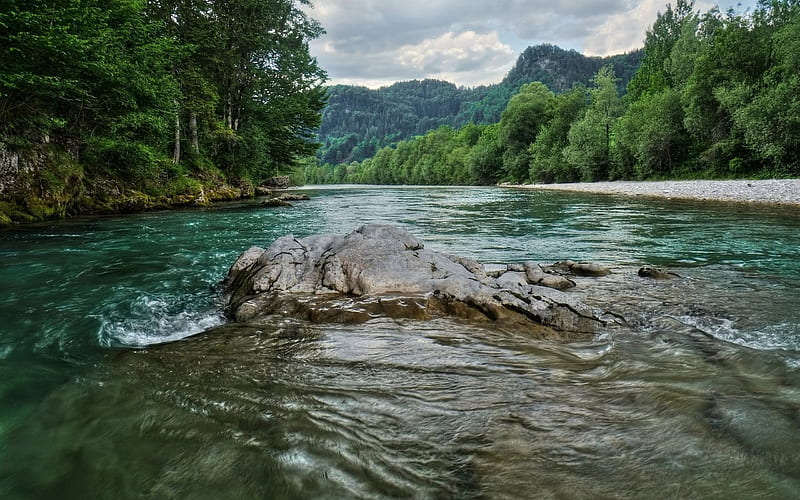 river, forest, mountains, trees, Austria, HD wallpaper