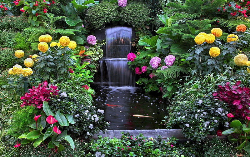 Dream garden, colors, flowers, water, garde, HD wallpaper