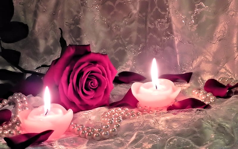 Rose and Candlelight, Rose, pretty, Flower, Candle, HD wallpaper
