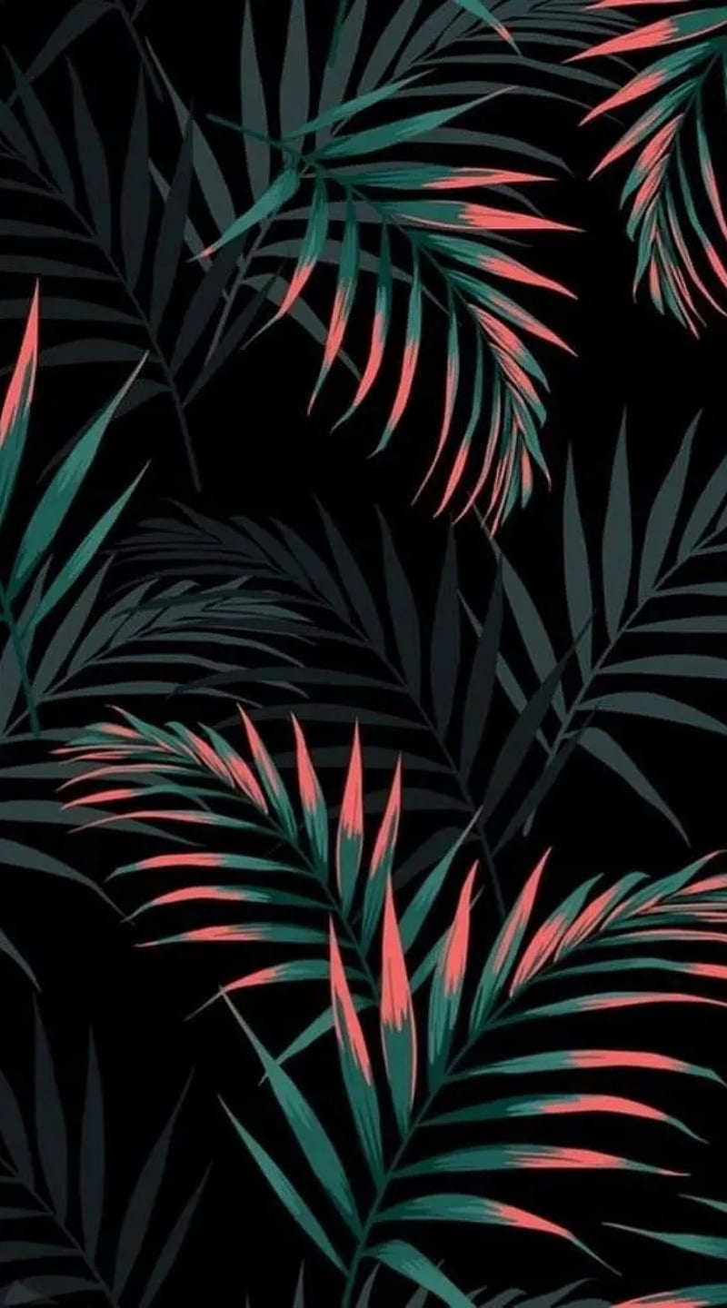 Best Plant iPhone HD Wallpapers  iLikeWallpaper