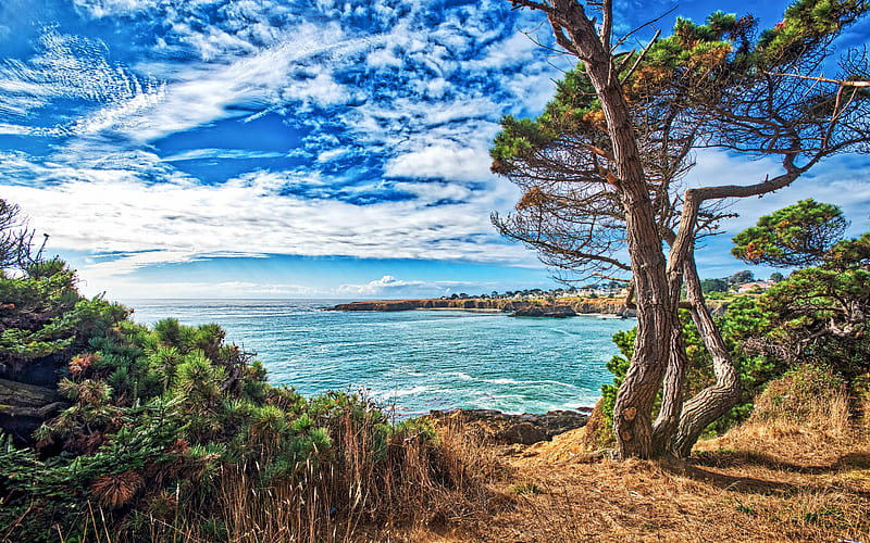 coast, ocean, waves, ocean landscape, USA, California, HD wallpaper