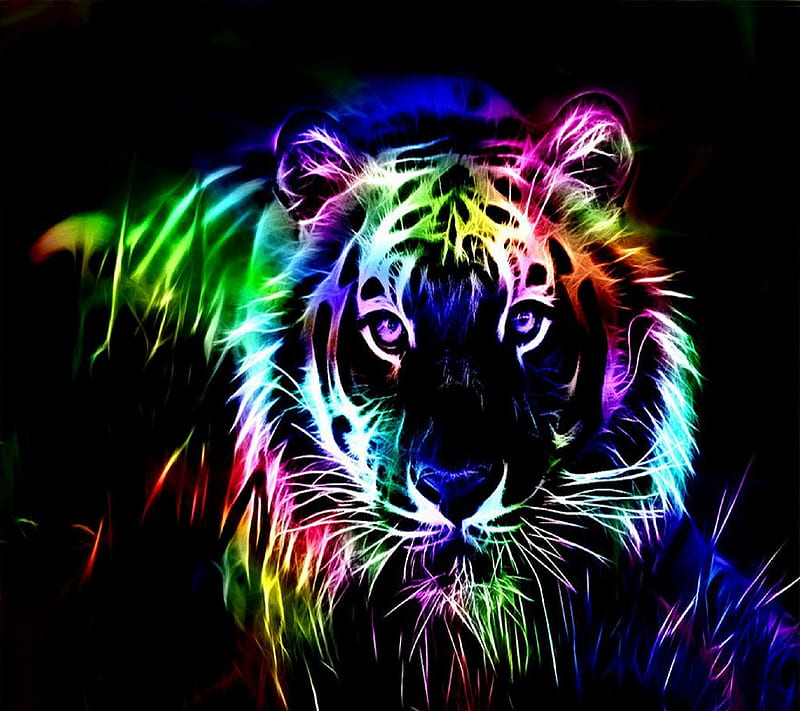 Colorful Tiger, HD wallpaper