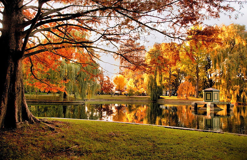 Autumn Garden, boston, autumn, garden, nature, bonito, HD wallpaper