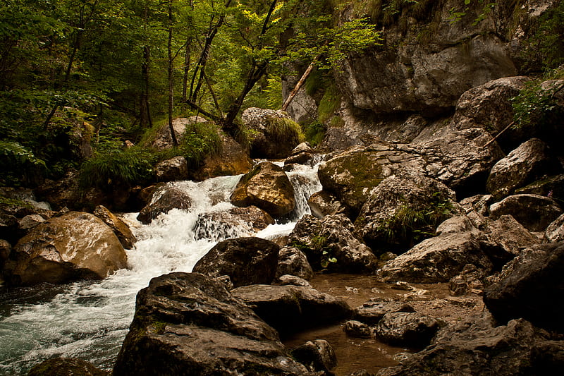 stream, river, stones, rocks, water, trees, HD wallpaper