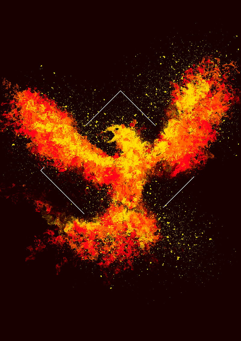 phoenix, bird, fire, art, square, HD phone wallpaper