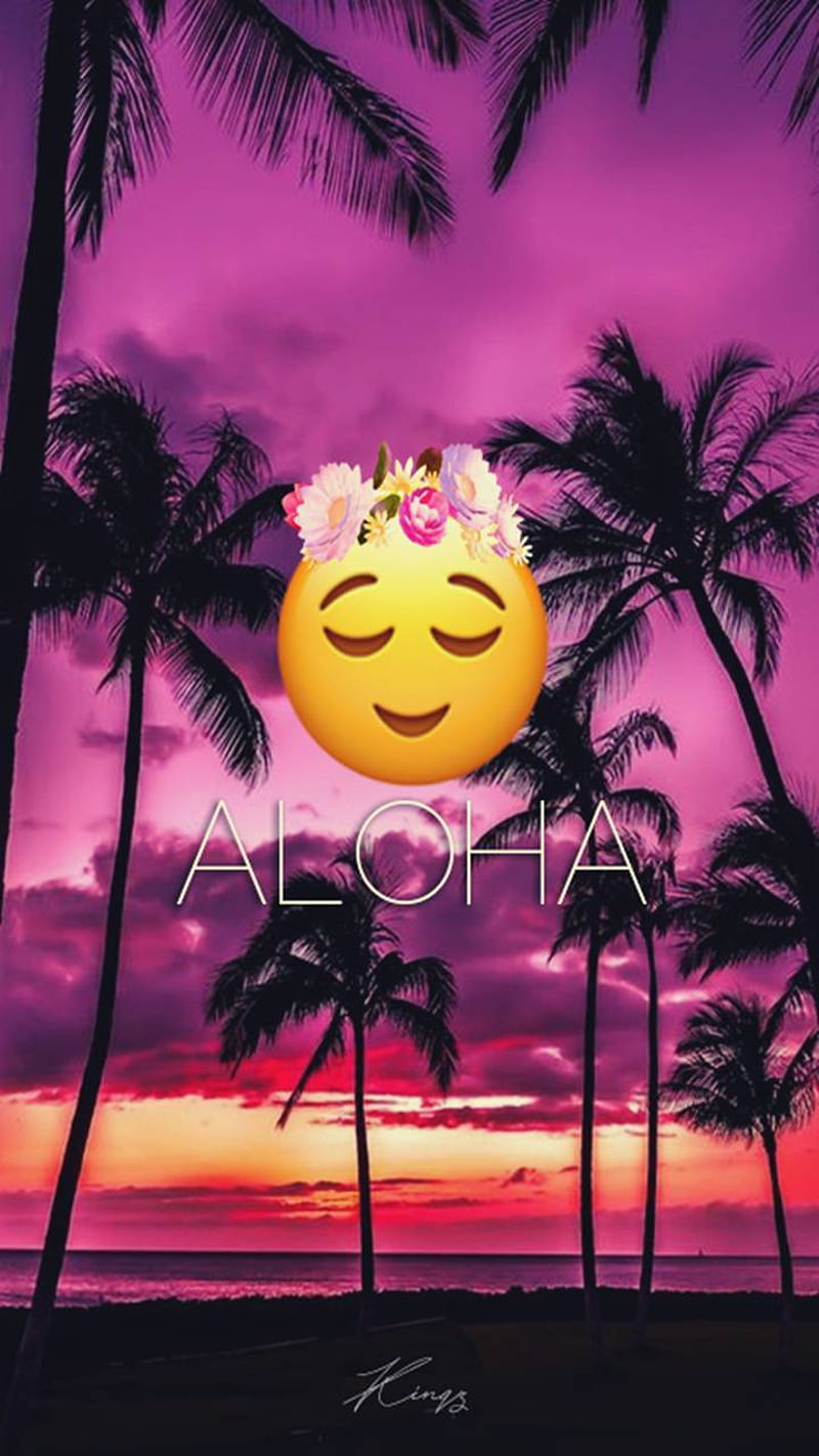 Aloha, no, pumpkins, wild, HD mobile wallpaper | Peakpx
