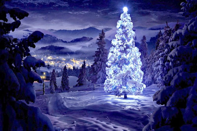 Christmas, wonderful, silent, greeting, xmas, fog, splendor blue in ...