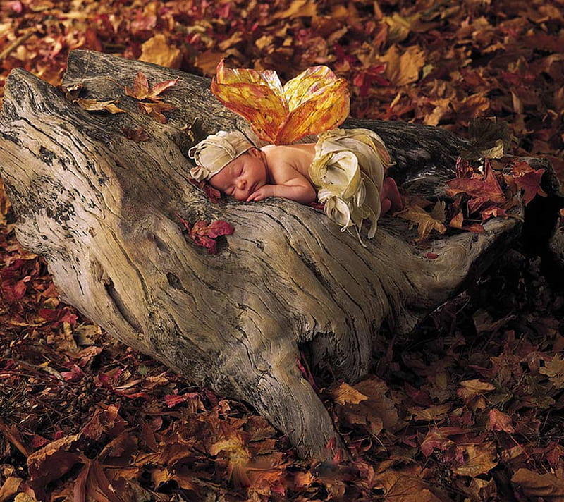 Butterfly Baby, lively, lovely, sleep, baby, leaf, cute, infant, leaves, butterfly, stone, child, art graphy, HD wallpaper