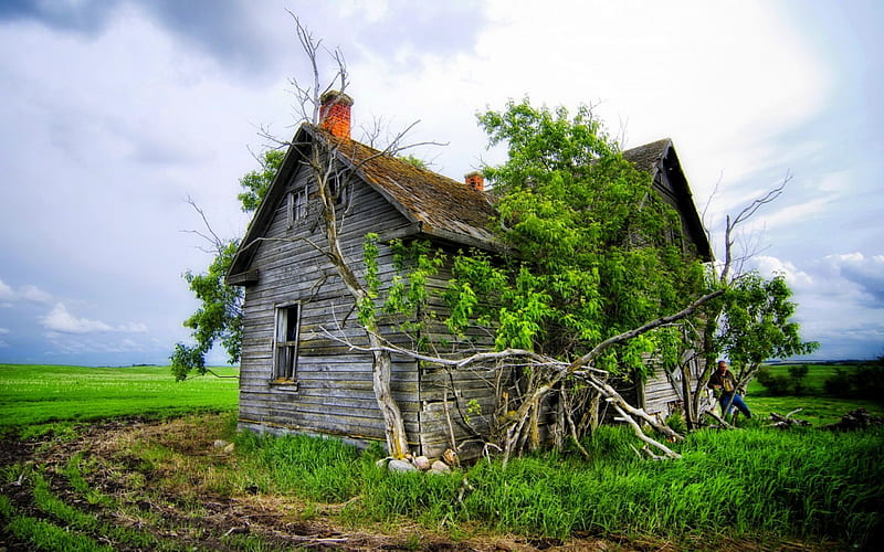 AN OLD HOUSE, man, house, old, abandoned, HD wallpaper