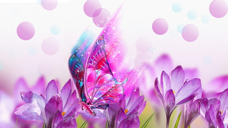Butterfly Crocus Medley, mystical, crocus, spring, floral, sparkles, bokeh, butterfly, flowers, garden, Firefox Persona theme, HD wallpaper