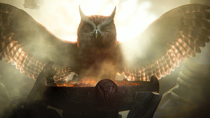 Legend of the Guardians-The Owls of GaHoole movie 05, HD wallpaper