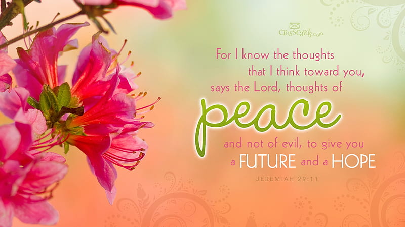 Peace, God, flowers, love, HD wallpaper | Peakpx